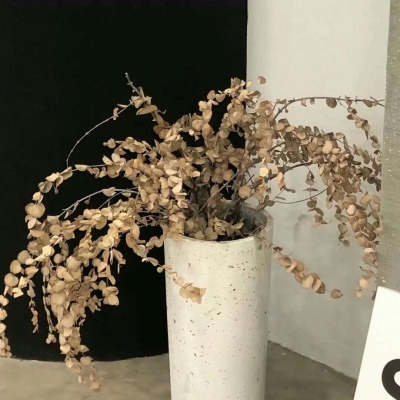 Furry黑白线稿绘画教程兽圈社群